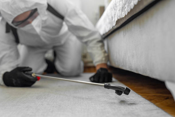 Professional Termite Control technician working in Refugio County County, TX